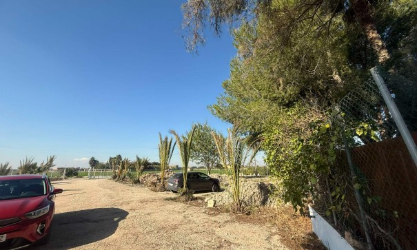Venta - Finca Propiedad rural -
Orihuela