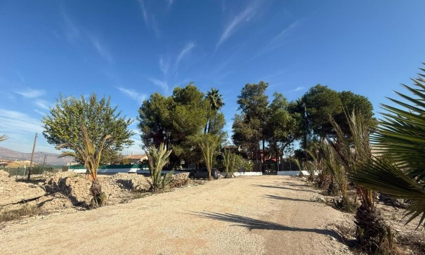 Venta - Finca Propiedad rural -
Orihuela