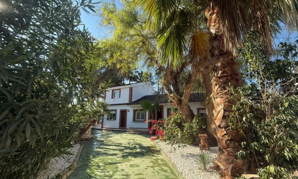 Venta - Finca Propiedad rural -
Orihuela