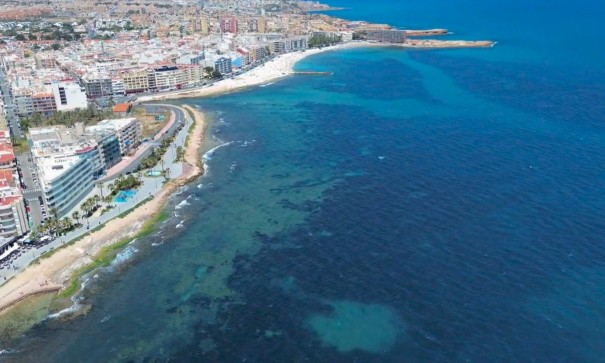 Venta - Apartamento piso -
Torrevieja - Playa del Cura