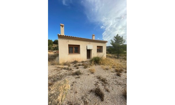 Venta - Parcela Terreno -
Pinoso - Pinoso Alicante