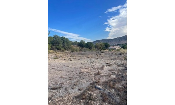 Venta - Parcela Terreno -
Pinoso - Pinoso Alicante