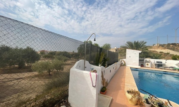 Venta - Finca Propiedad rural -
Abanilla