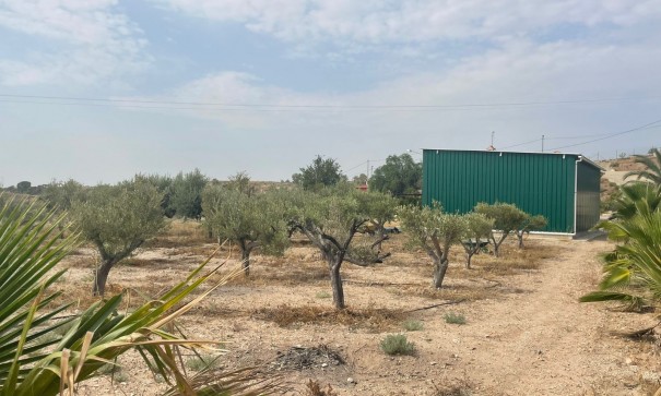 Venta - Finca Propiedad rural -
Abanilla