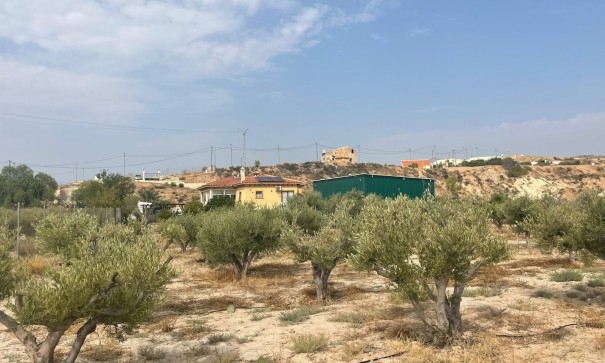 Venta - Finca Propiedad rural -
Abanilla