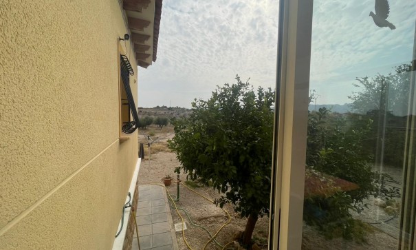 Venta - Finca Propiedad rural -
Abanilla