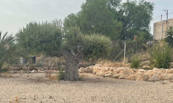 Venta - Finca Propiedad rural -
Abanilla