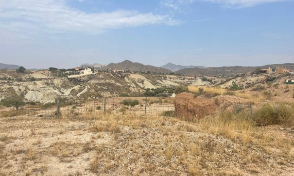 Venta - Finca Propiedad rural -
Abanilla