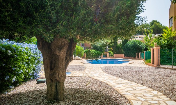 Återförsäljning - Radhus -
Torrevieja - LOS BALCONES - LOS ALTOS