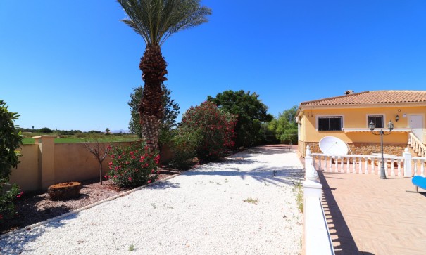 Sale - Finca Country Property -
Catral - Catral - Country