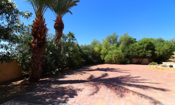 Sale - Finca Country Property -
Catral - Catral - Country