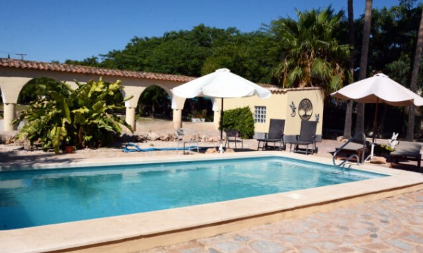 Sprzedaż - Willa wolnostojąca -
Daya Vieja