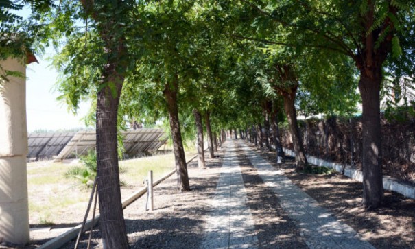 Sprzedaż - Willa wolnostojąca -
Daya Vieja