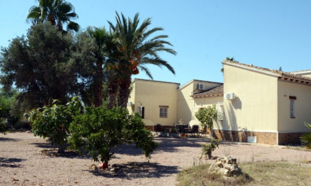 Sprzedaż - Willa wolnostojąca -
Daya Vieja