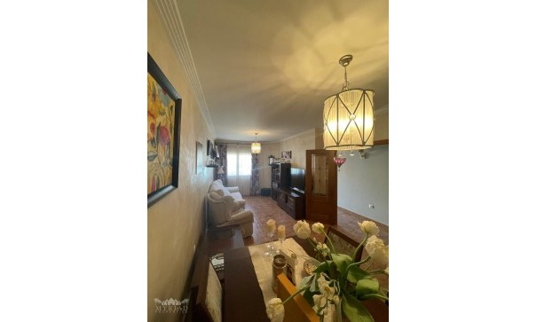 Sprzedaż - Dom miejski -
Pinoso - Pinoso Alicante