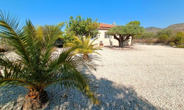 Sale - Detached Villa -
Macisvenda