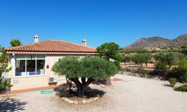 Sale - Detached Villa -
Macisvenda