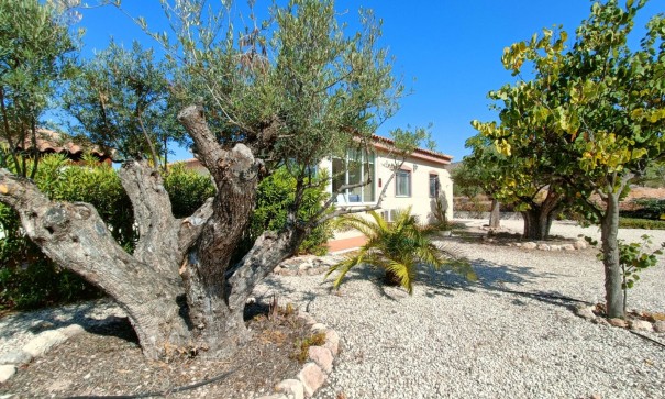 Sale - Detached Villa -
Macisvenda