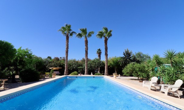 Resale - Finca Landgut -
Catral