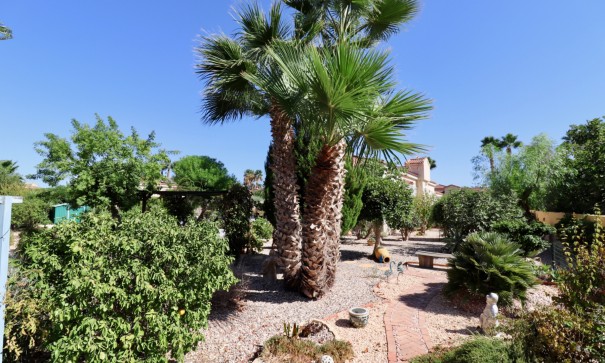 Resale - Finca Landgut -
Catral