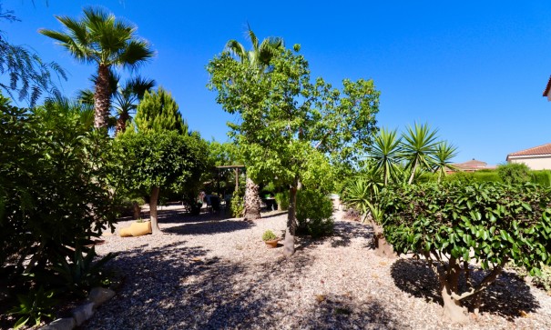 Resale - Finca Landgut -
Catral