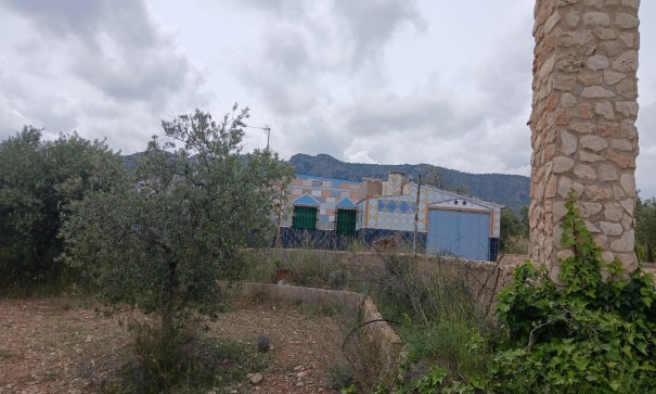Herverkoop - Finca Landelijk pand -
Yecla