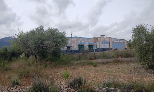 Herverkoop - Finca Landelijk pand -
Yecla
