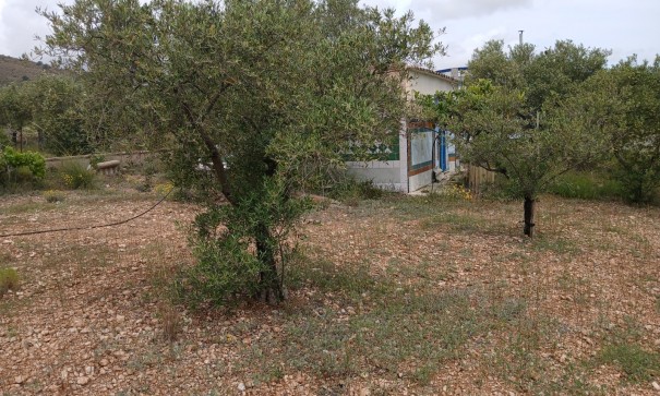 Herverkoop - Finca Landelijk pand -
Yecla