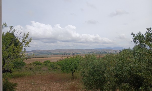 Herverkoop - Finca Landelijk pand -
Yecla