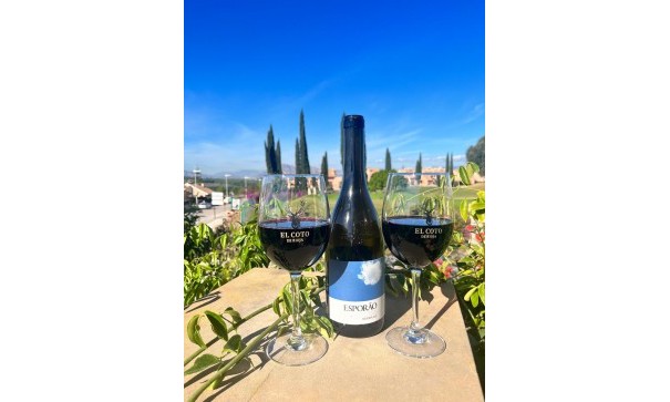 Herverkoop - Vrijstaande Villa -
La Finca Golf - La Finca Golf and Spa Resort