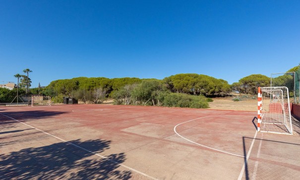 Sale - Apartment Flat -
Guardamar del Segura - Urb. pinomar