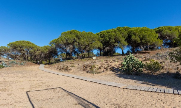 Sale - Apartment Flat -
Guardamar del Segura - Urb. pinomar