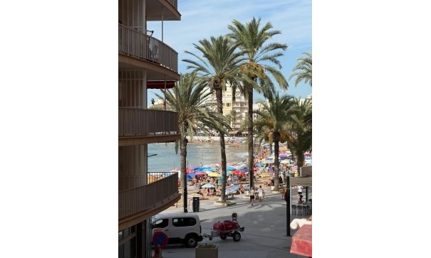 Sprzedaż - Apartament mieszkanie -
Torrevieja - Playa del Cura