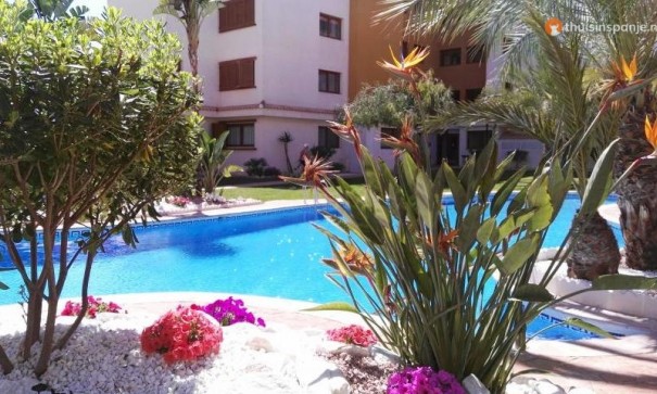 Sale - Apartment Flat -
Punta Prima - La Entrada