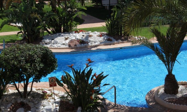 Sale - Apartment Flat -
Punta Prima - La Entrada