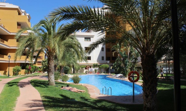 Sale - Apartment Flat -
Punta Prima - La Entrada