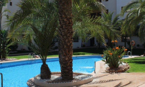 Sale - Apartment Flat -
Punta Prima - La Entrada