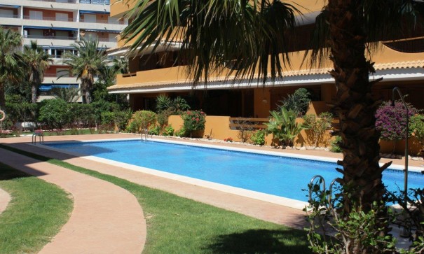 Sale - Apartment Flat -
Punta Prima - La Entrada