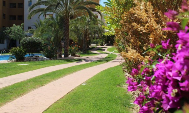 Sale - Apartment Flat -
Punta Prima - La Entrada