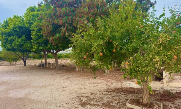 Sale - Finca Country Property -
Rojales - Cuidad Quesada