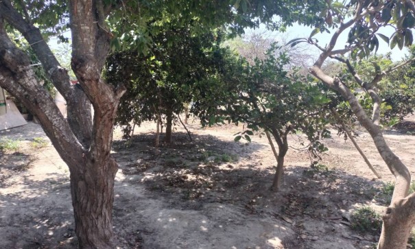 Sale - Finca Country Property -
Rojales - Cuidad Quesada