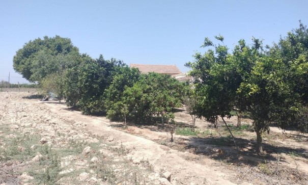 Sale - Finca Country Property -
Rojales - Cuidad Quesada