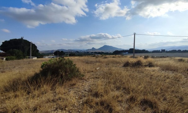 Resale - Grundstück Grundstück -
SAX