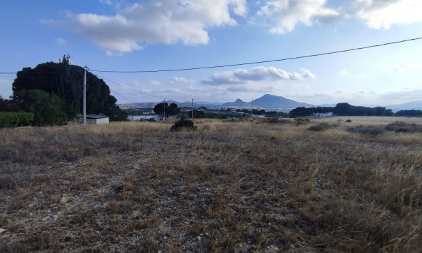 Resale - Grundstück Grundstück -
SAX