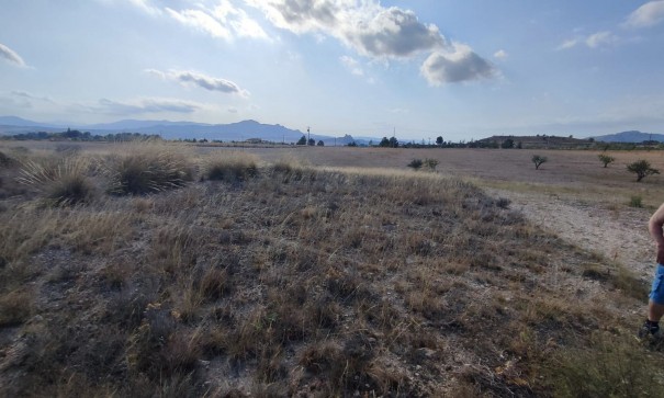 Resale - Grundstück Grundstück -
SAX