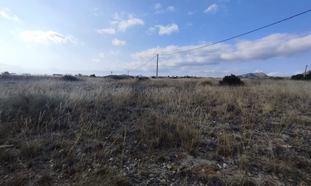 Resale - Grundstück Grundstück -
SAX