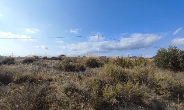 Resale - Grundstück Grundstück -
SAX