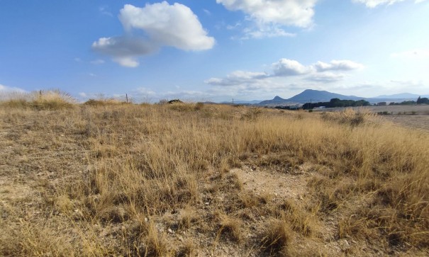 Resale - Grundstück Grundstück -
SAX