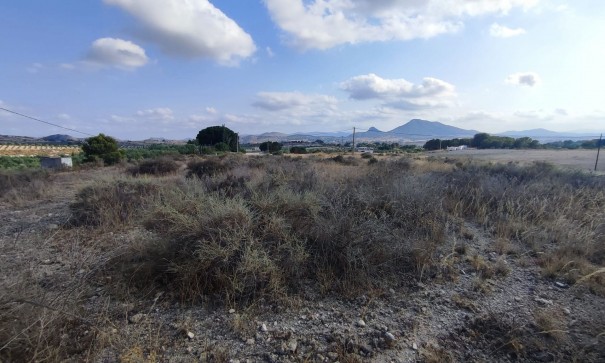 Resale - Grundstück Grundstück -
SAX