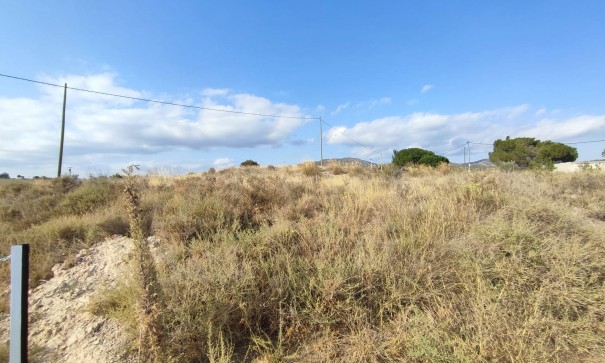 Resale - Grundstück Grundstück -
SAX